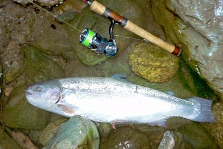 なんとか６０オーバーをキャッチ